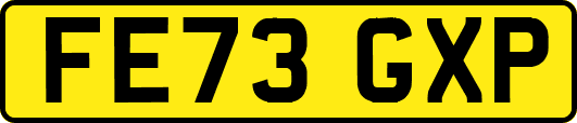 FE73GXP