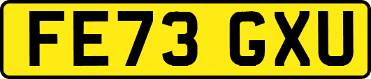 FE73GXU