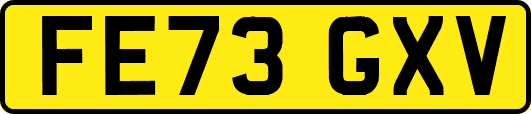 FE73GXV