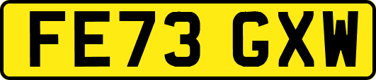 FE73GXW