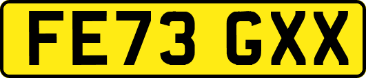FE73GXX