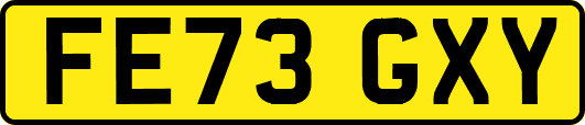 FE73GXY