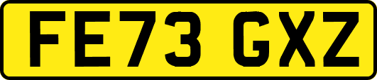 FE73GXZ