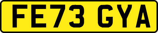 FE73GYA