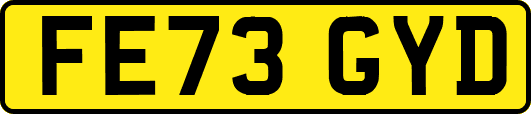FE73GYD