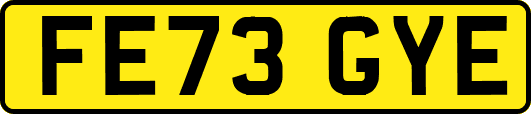 FE73GYE