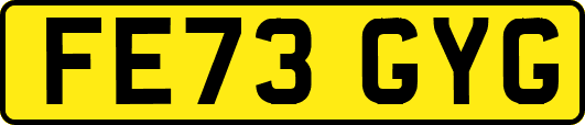 FE73GYG