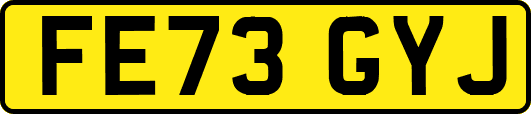 FE73GYJ