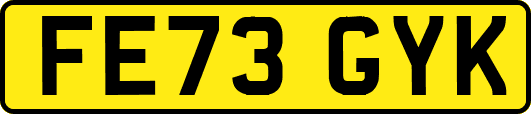 FE73GYK