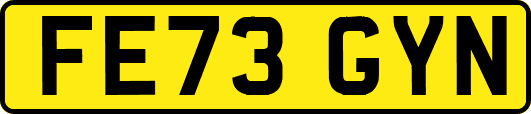 FE73GYN