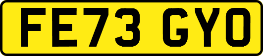 FE73GYO