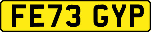 FE73GYP