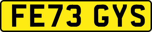 FE73GYS