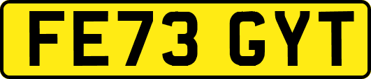 FE73GYT