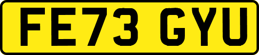FE73GYU