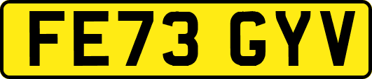 FE73GYV