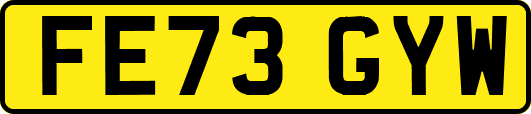FE73GYW