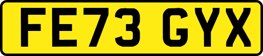 FE73GYX