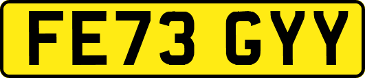 FE73GYY