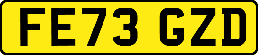 FE73GZD
