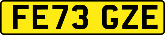 FE73GZE