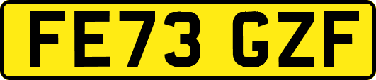 FE73GZF