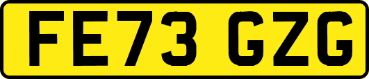 FE73GZG