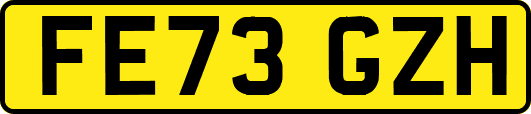 FE73GZH