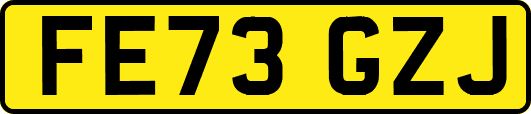 FE73GZJ