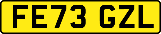 FE73GZL