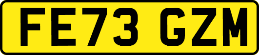 FE73GZM