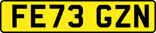 FE73GZN