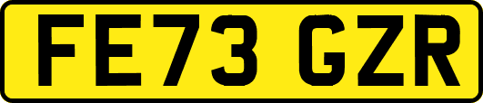 FE73GZR
