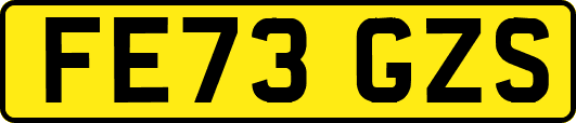 FE73GZS