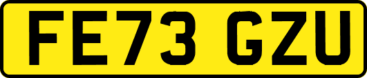 FE73GZU