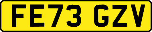 FE73GZV