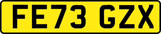 FE73GZX