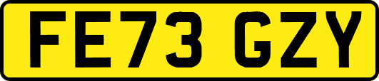 FE73GZY