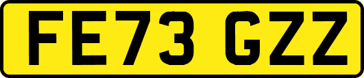 FE73GZZ