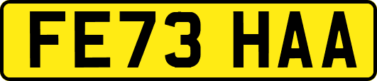 FE73HAA