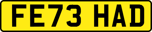 FE73HAD