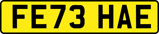 FE73HAE