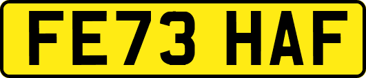 FE73HAF