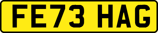 FE73HAG