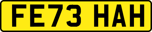 FE73HAH