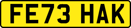 FE73HAK