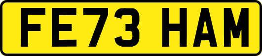 FE73HAM