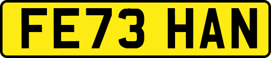 FE73HAN