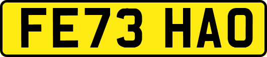 FE73HAO