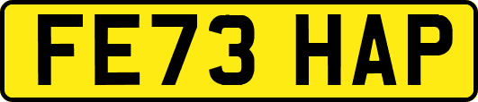 FE73HAP